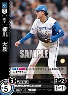 柳川　大晟(北海道日本ハムファイターズ) 【TBP01-F31C】